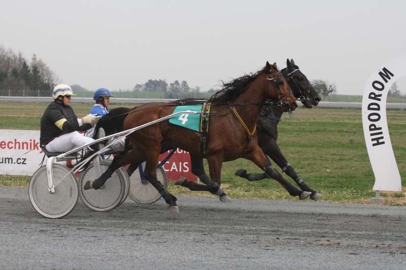 Beautifull Yankee a Damalia potvrdili triumfy z jarných klasík