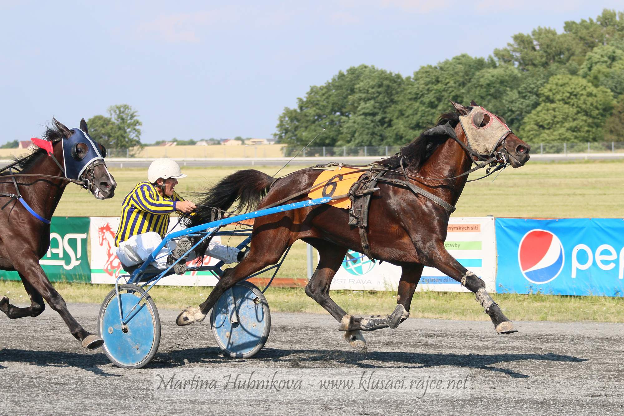 Sirota Gina vyhrala Breeders´ Crown trojročných